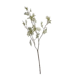 Kunstbloem Mimosa blad - Groen - 90 cm