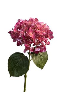Kunstbloem Hortensia - Roze - 75 cm - real touch