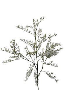 Kunstbloem Statice - Wit - 80 cm