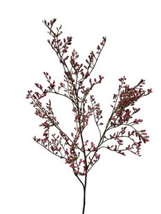 Kunstbloem Statice - Rood - 80 cm