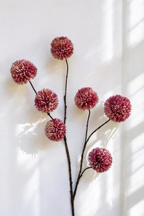 Kunstbloem Pompom - Roze - 98 cm