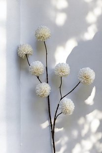 Kunstbloem Pompom - Wit - 98 cm