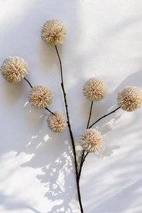 Kunstbloem Pompom - Crème - 98 cm