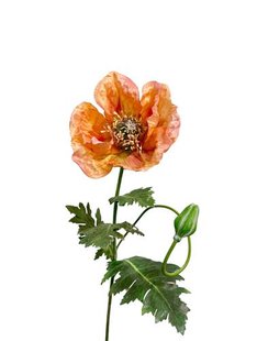 Kunstbloem Klaproos - Perzik - 75 cm