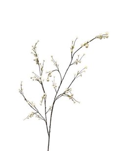 Kunstbloem Gips - Wit - 115 cm