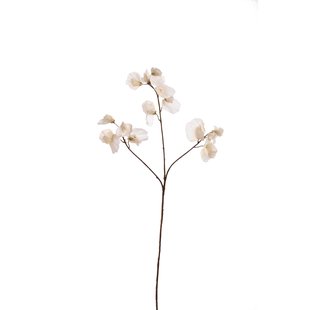 Kunstbloem Sweet pea - Wit - 75 cm