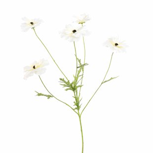 Kunstbloem Cosmo - Creme - 70 cm
