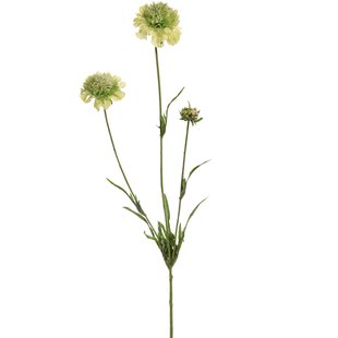 Kunstbloem Scabiosa - Groen - 66 cm
