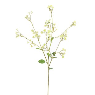 Kunstbloem Gyps - Groen - 75 cm