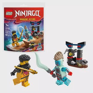LEGO Ninjago - Arin vs Dragonian Battle 30700