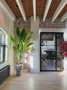 Kunst Strelitzia 210 cm