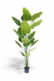 Kunst Strelitzia 240 cm