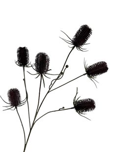 Kunstbloem Distel - Paars - 87 cm