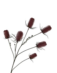 Kunstbloem Distel - Roze - 87 cm