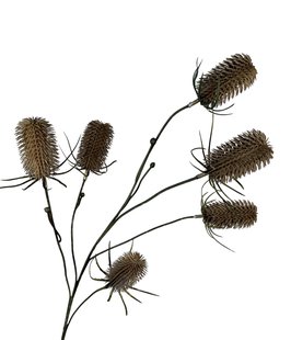 Kunstbloem Distel - Koffie - 87 cm