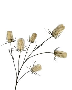 Kunstbloem Distel - Champagne - 87 cm