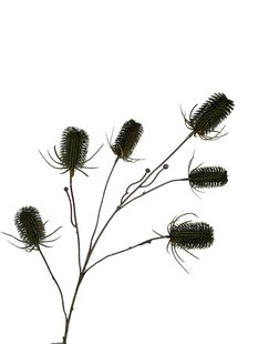 Kunstbloem Distel - Donker Groen - 87 cm