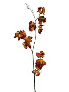 Kunstbloem Lathyrus - Bruin - 71 cm
