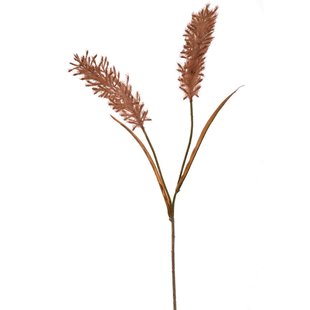 Kunstbloem Pluim - Bruin - 70 cm