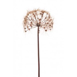 Fleurdirect Kunsttak Dandelion - Bruin - Kunststof - 0x91x0cm (BxHxD)