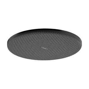 Hansgrohe Raindance Alive S hoofddouche 300 1jet Brushed Black Chrome (antraciet) 24520340