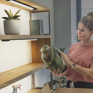 OSRAM LED meubelverlichting Linear Edge Sensor 50 cm zwart CCT