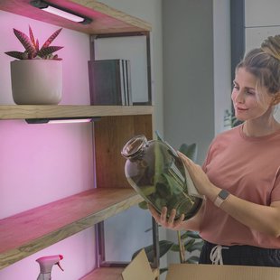 OSRAM LED meubelverlichting Linear Edge Sensor RGBW 30 cm zwart