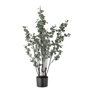 Bloomingville Eucalyptus Kunstplant