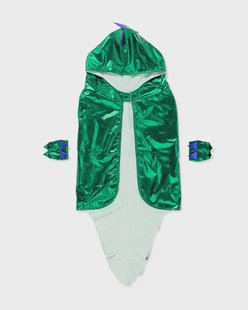 HEMA Verkleedset dino voor kinderen