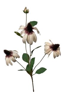 Kunstbloem Rudbeckia - Creme - 83 cm