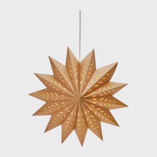 PR Home Alfa adventster bruin 60 cm