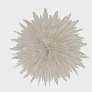 Scandi Living Luna adventsster wit met stippen 60 cm