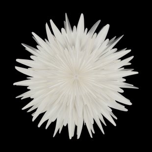 Scandi Living Luna adventsster wit 45 cm