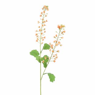 Kunstbloem Koolzaad - Perzik - 85 cm