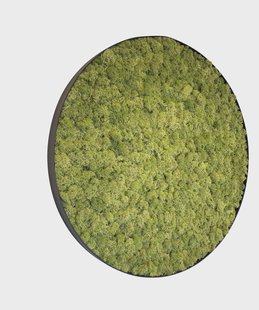 Mosschilderij Leah Metal 120cm.