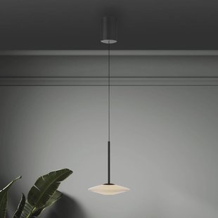 Paul Neuhaus LED hanglamp Elipsa, 1-lamp, wit/zwart