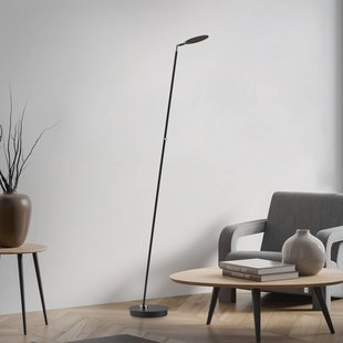 Paul Neuhaus LED vloerlamp Akku-Bente, zwart, CCT, USB-C