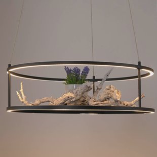 Paul Neuhaus LED hanglamp Contura, zwart, Ø 50 cm