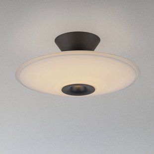 Paul Neuhaus LED plafondlamp Elipsa, wit/zwart, Ø 35 cm