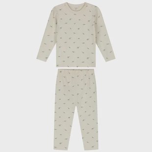 Prénatal peuter pyjama kleine dino