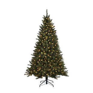 Black Box Trees verlichte kerstboom Toronto (h215xø132 cm)