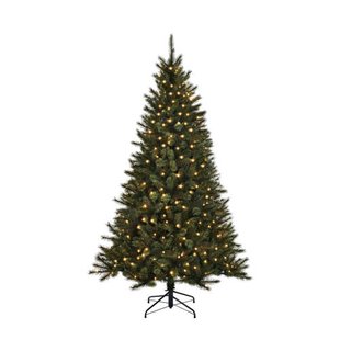 Black Box Trees verlichte kerstboom Toronto (h230xø140 cm)