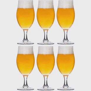 Bormioli Rocco Bierglas Executive - 260 ml - 6 stuks