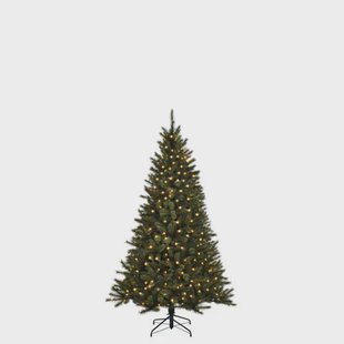 Black Box Trees verlichte kerstboom Toronto (h120xø87 cm)
