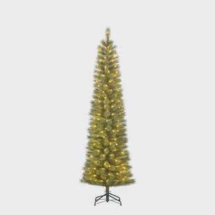 Black Box Trees verlichte kerstboom Sotka (h215xø61 cm)