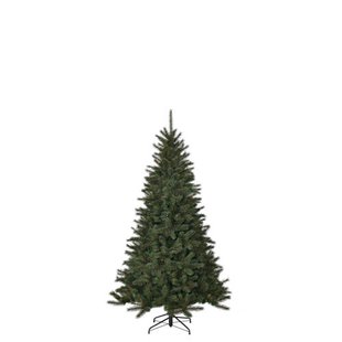 Black Box Trees Kerstboom Toronto (h120xø87 cm)