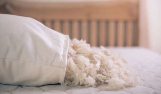 Kayori - Vulling - 30x50 - Kapok