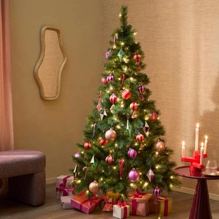 Nova Belle Verlichte kerstboom Narvik (h185x102 cm)