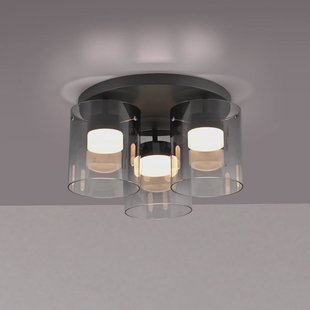 JUST LIGHT. GmbH JUST LIGHT. LED plafondlamp Elio rookglas, 3-lamps, zwart