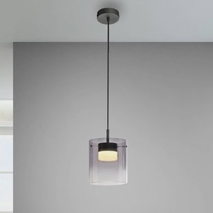 JUST LIGHT. GmbH JUST LIGHT. LED hanglamp Elio, rookglas, 1-lamp, zwart